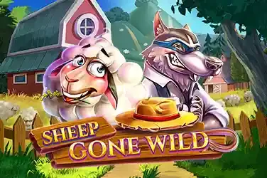 Sheep Gone Wild Red Tiger